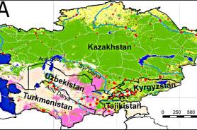 Древние компоненты и недавняя экспансия в сердце Евразии: новые данные о филогении Y-хромосом из Центральной Азии