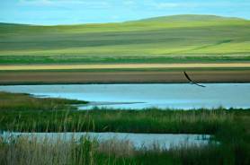 Род Борджигин: происхождение, кочевья и подлинная география ранней родины Чингисхана