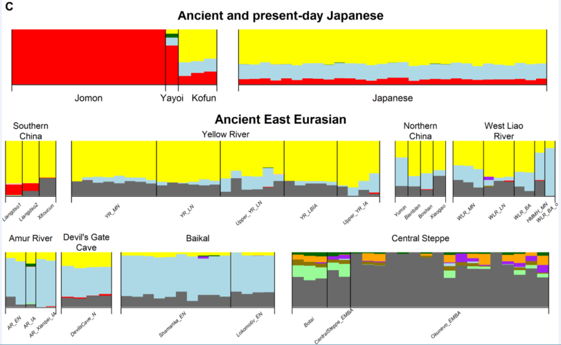 Генетики выяснили вклад древних китайцев в ДНК современных японцев