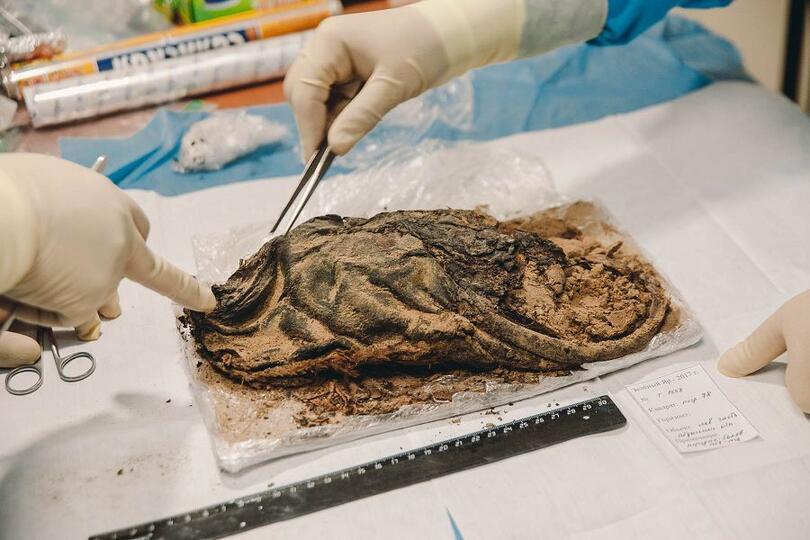 Учёные определили национальность мумии полярной принцессы, обнаруженной в Арктике
