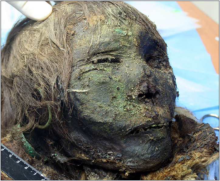 Учёные определили национальность мумии полярной принцессы, обнаруженной в Арктике