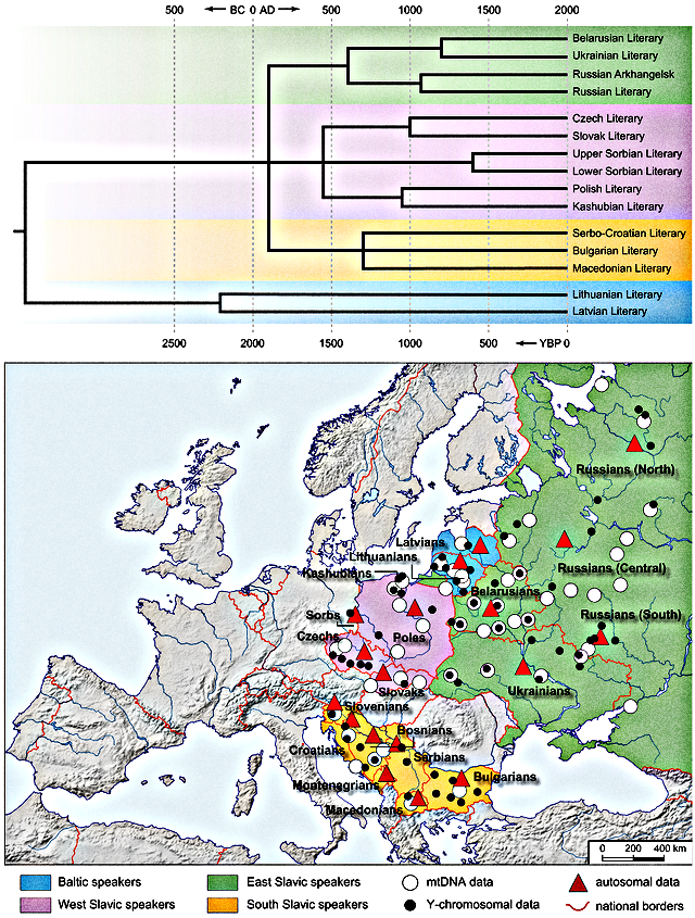Исследование генофонда славян