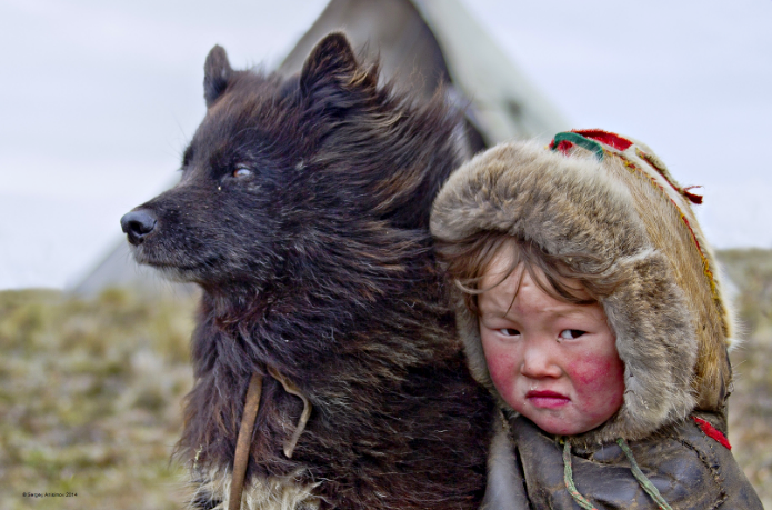 Ненцы — факты о самом многочисленном народе оленеводов в России: происхождение, гены, традиции, обычаи