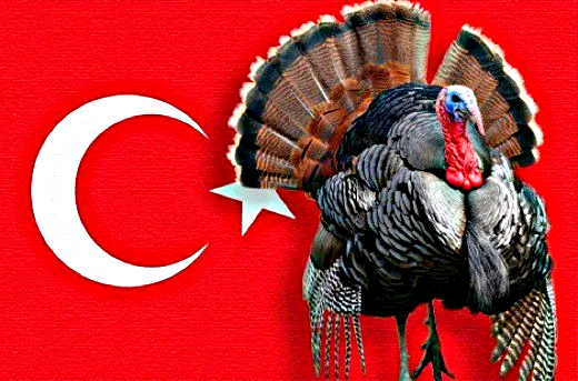 Почему Турция попросила ООН изменить название страны