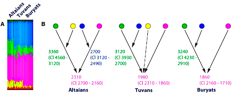 О спектре предковых компонентов бурят, тувинцев и алтайцев