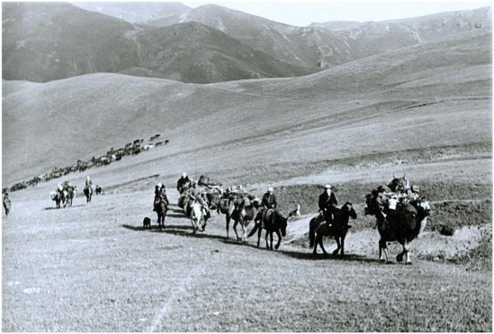 Этническая и этнокультурная трансформация казахских родов и племён в XVIII - XIX века