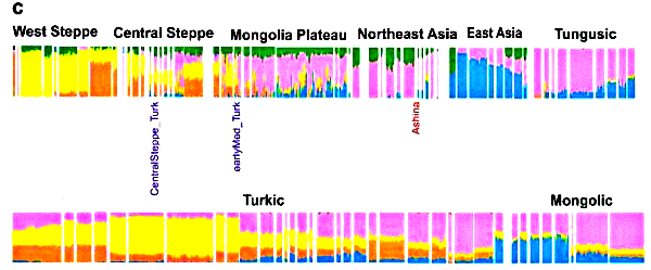Геном дочери правителя Первого Тюркского каганата оказался генетически близким к тунгусским и монгольским популяциям