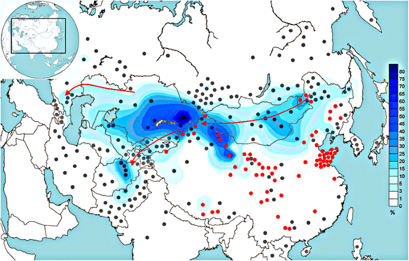 Y-хромосома «стар-кластера» С2* восходит к обычным монголам, а не к Чингисхану