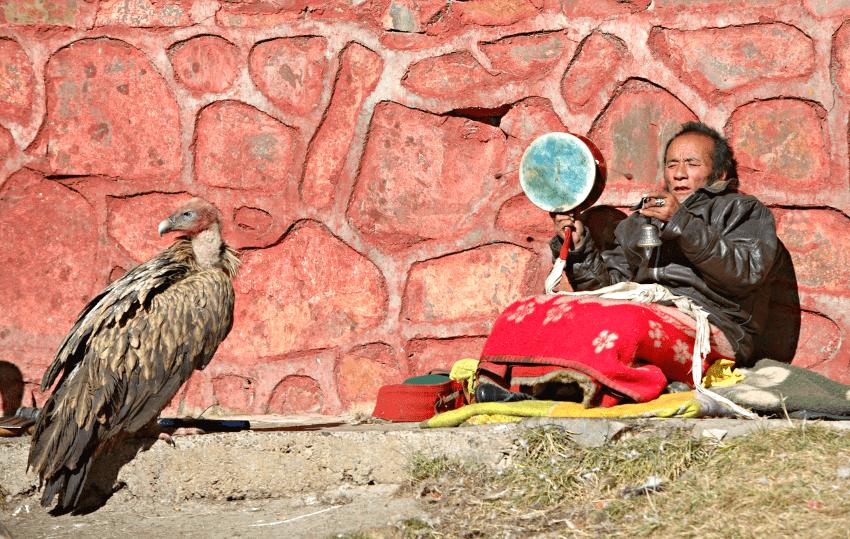 «Небесное погребение» в Тибете: Когда стервятники просят милостыню