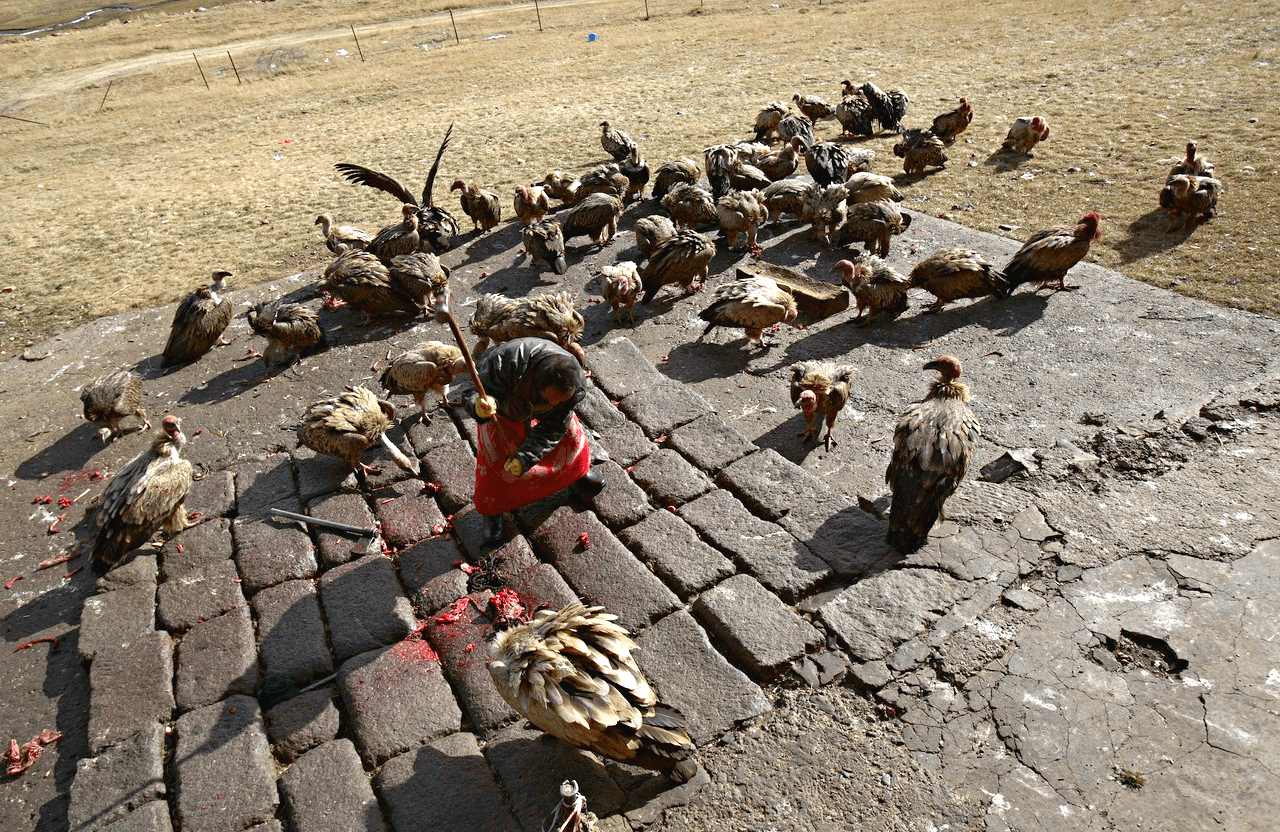 «Небесное погребение» в Тибете: Когда стервятники просят милостыню