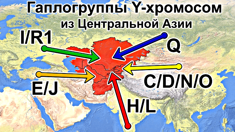 Древние компоненты и недавняя экспансия в сердце Евразии: новые данные о филогении Y-хромосом из Центральной Азии