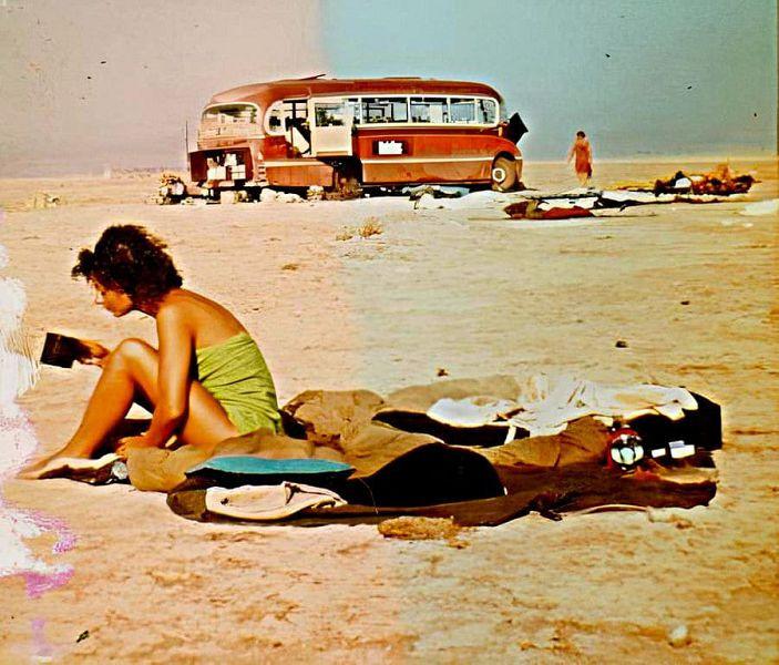 Дзэн и цветы свободы: рождение духовной революции 1960-х