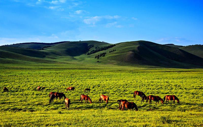 Институт родовых земель в современной России: возрождение древних границ