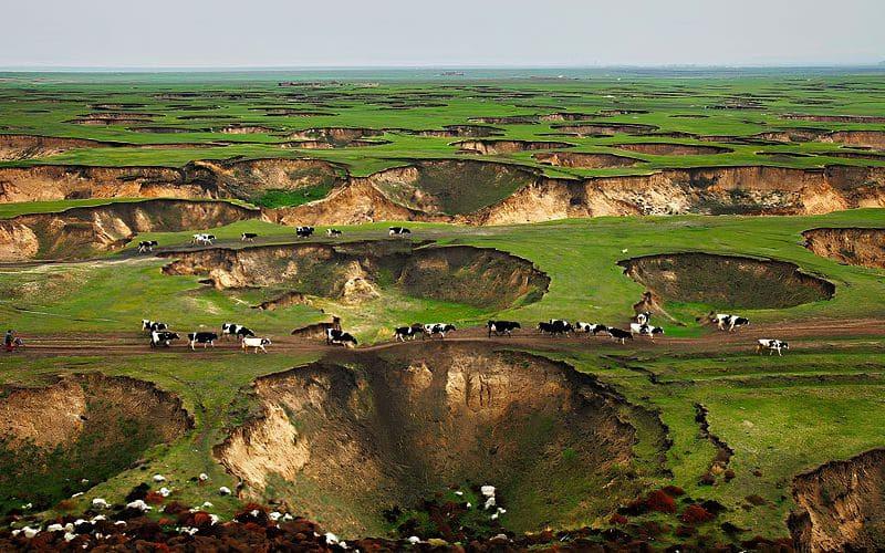 Институт родовых земель в современной России: возрождение древних границ