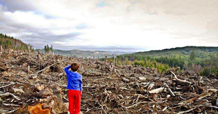 Институт родовых земель в современной России: возрождение древних границ