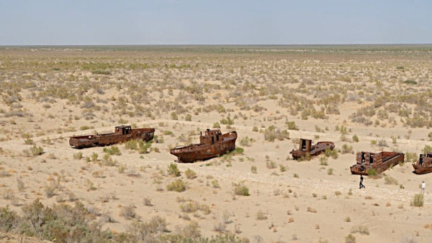 Изображение №1