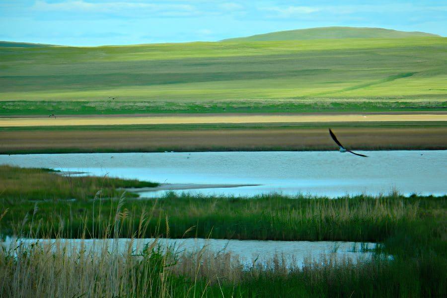 Род Борджигин: происхождение, кочевья и подлинная география ранней родины Чингисхана