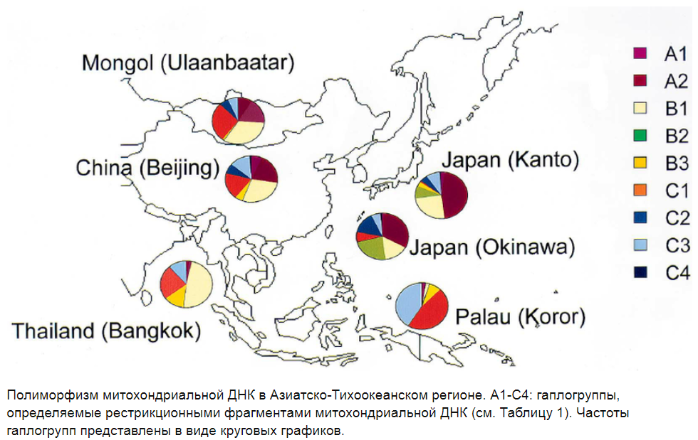 Генетическая история популяций Восточной Азии