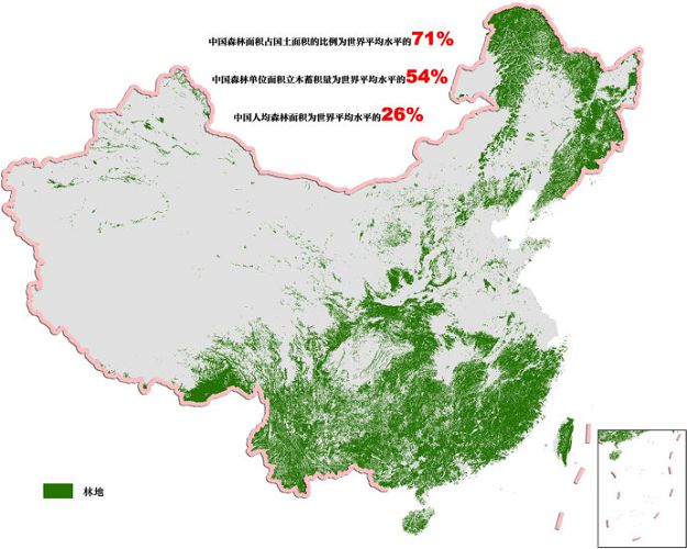 Китай запретит вырубать собственный лес