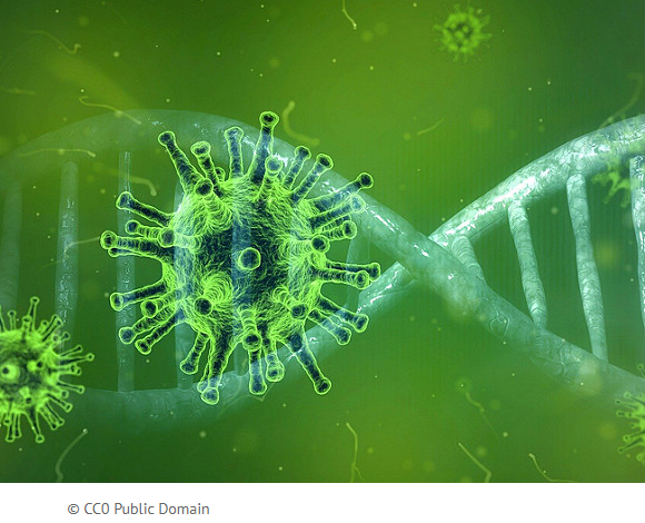 Китайские учёные назвали источником коронавируса лабораторию в Ухани