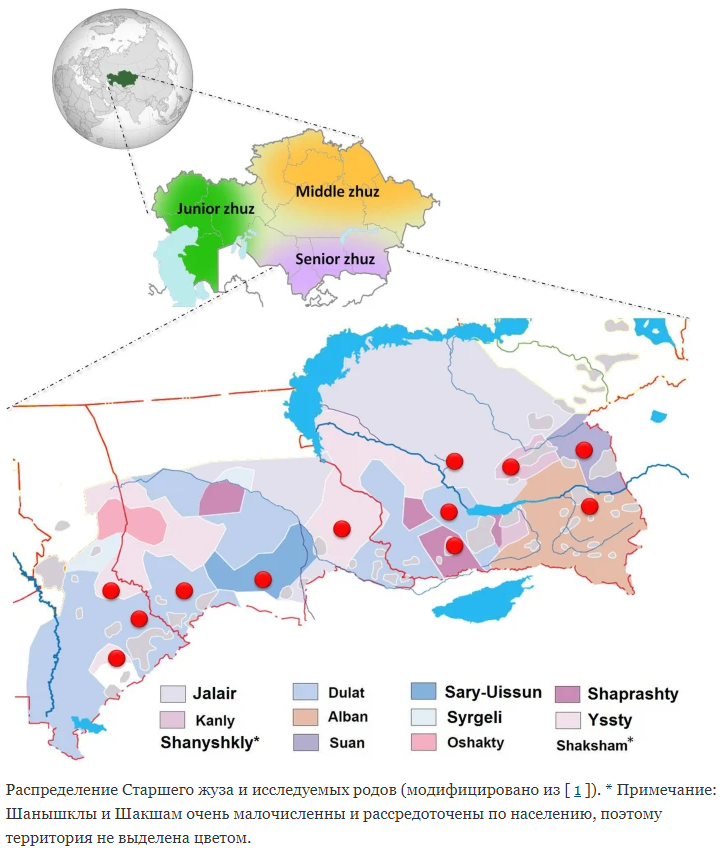 ​Генетики предположили происхождение южных казахов от нирун-монголов