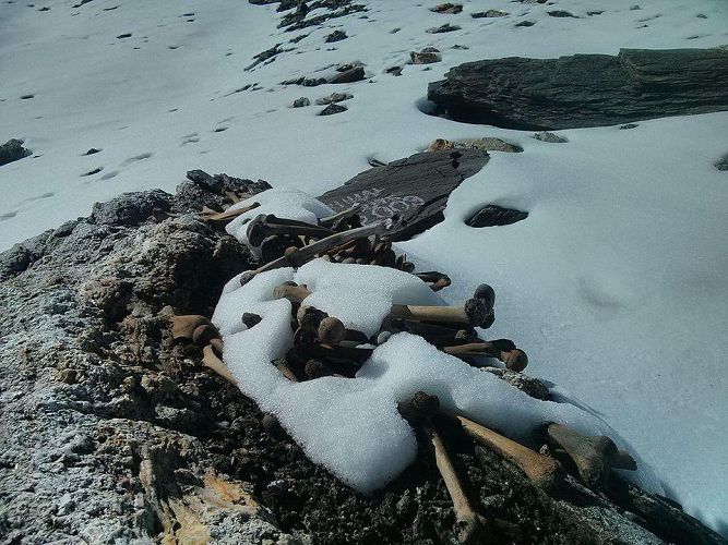 Учёные выявили происхождение останков на Озере Скелетов в Гималаях