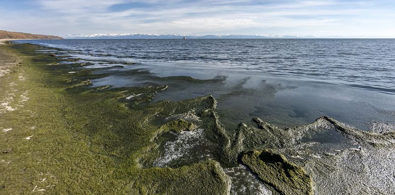 Учёные заявили, что воду из Байкала пить уже нельзя