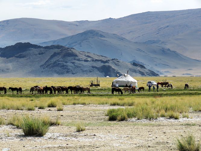 Ученые определили генофонд популяций Трансоксианы - исторической области Центральной Азии 