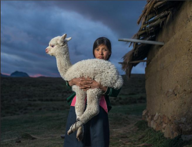 Раскрыта причина детских жертвоприношений в Перу