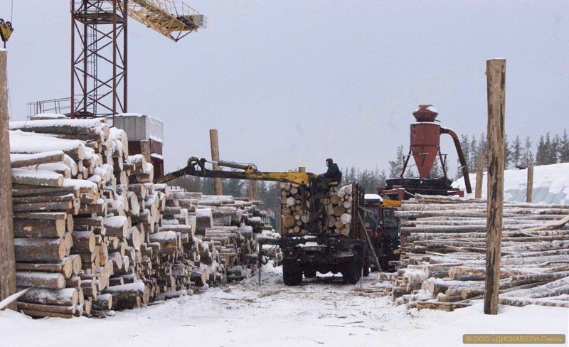 Забайкалье: Осипов намерен разобраться с пунктами приема древесины