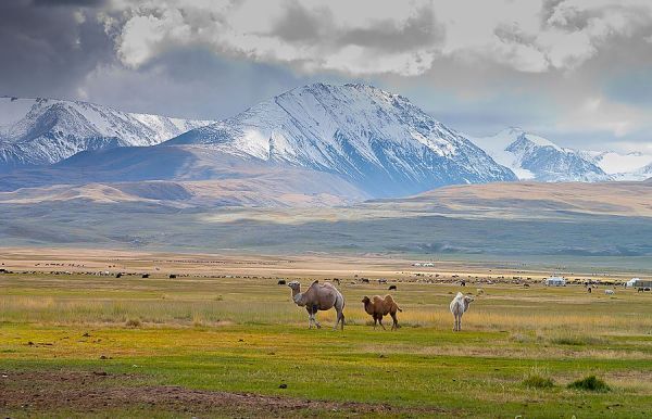 Русский язык доказал свою живучесть в Монголии