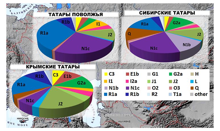 В генофонде сибирских татар только 2% гаплогруппы «монгольского мира». Генетики доказали, что татары не являются наследниками Золотой Орды.