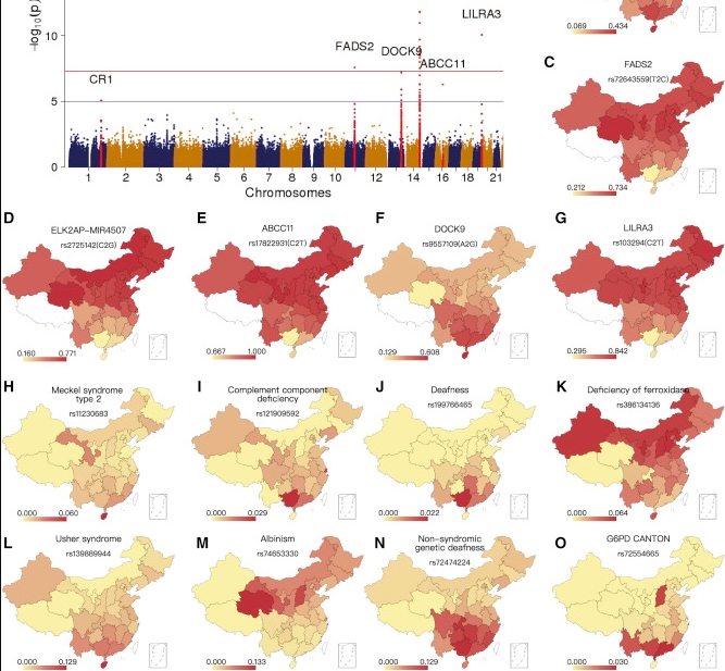 Пренатальное тестирование и генетика китайцев. Опубликованы первые результаты генетического исследования жителей Китая, охватившего более 140 тысяч человек. 