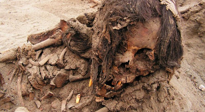 Найдены новые останки принесенных в жертву детей перуанскими жрецами-шаманами