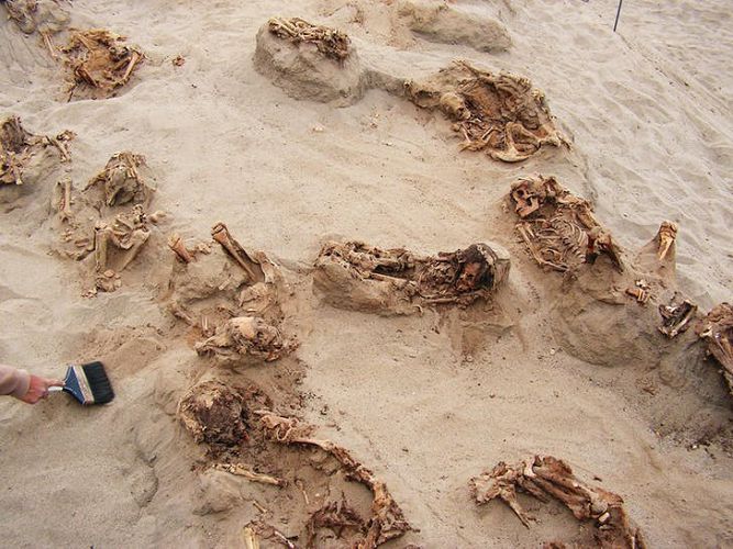 Найдены новые останки принесенных в жертву детей перуанскими жрецами-шаманами