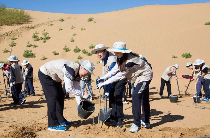 Как Китай превращает пустыню Кузупчи (АРВМ) в богатство