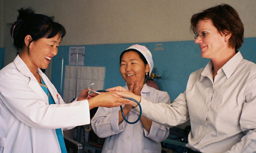 Более 10 % населения Монголии имеют вирусные гепатиты B и C 