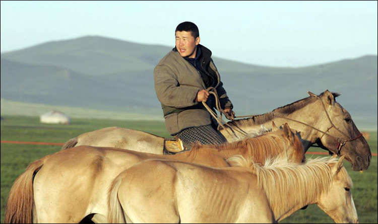 С чего начинается родина для казахов Монголии. За 2000-е годы казахов в Улан-Баторе стало на 52% больше. 