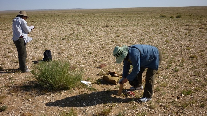 Монгольские пастухи оставляют кочевой образ жизни для жизни в городе