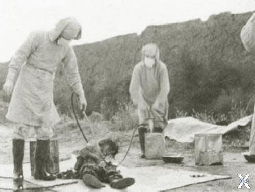 В японских школах нашли экспонаты из «Отряда-731»