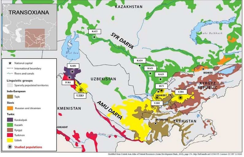 Экспансия монголов не оказала значимого влияния на культуру Центральной Азии 