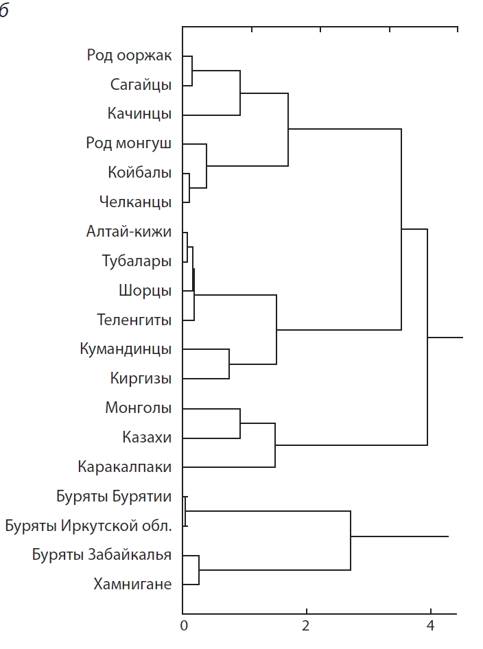 В генофонде тувинцев след монгольской экспансии незначителен. Ученые выбрали именно те тувинские рода, для которых монгольское влияние предполагается наиболее значимым. 