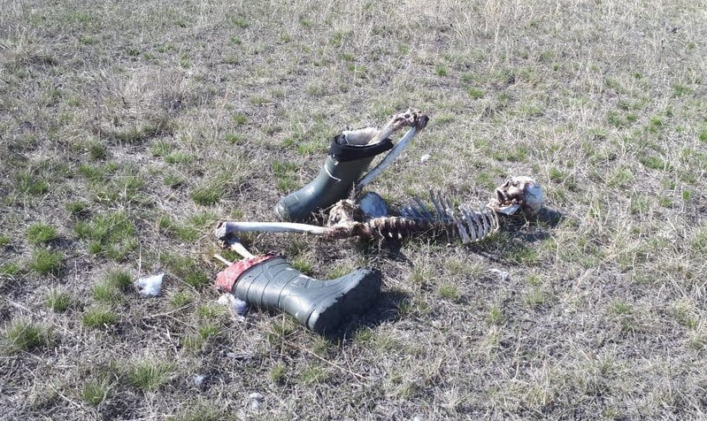 На границе с Казахстаном найден загадочный человеческий скелет. Рядом лежал паспорт гражданина Узбекистана