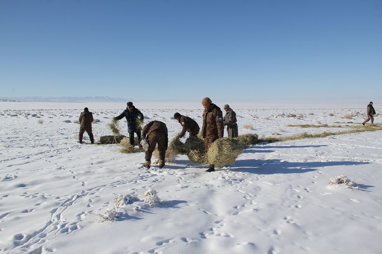 Экономика Монголии зависит от природы