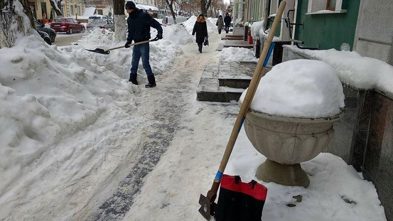 По указанию сверху учителя школы в Саратове убирали снег в мешки
