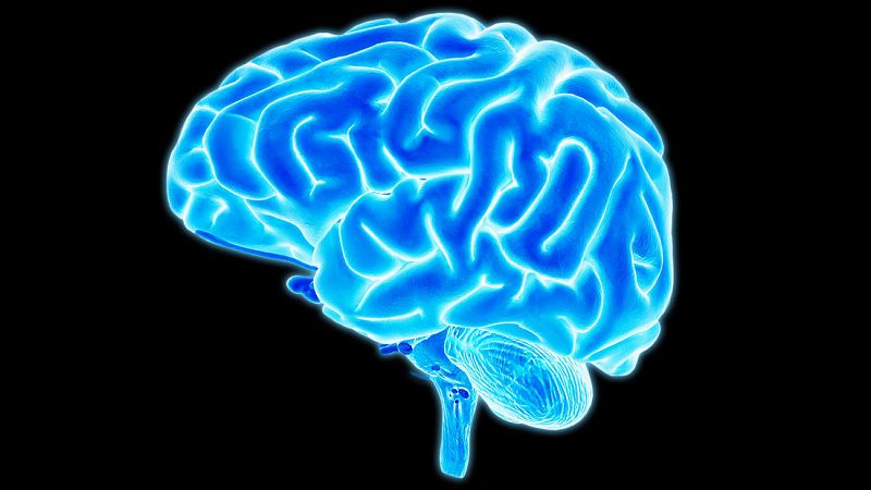 Ученые выяснили, почему у бурят мозг больше, чем у европейцев