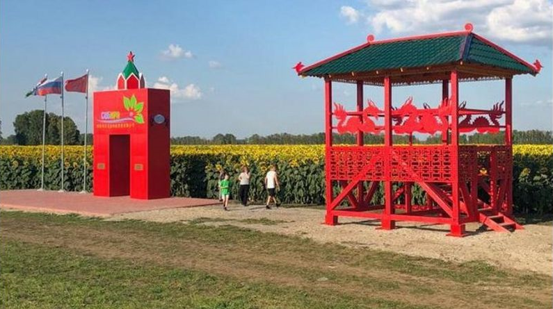 Вандалы осквернили символ Китая на границе Новосибирской области и Алтайского края