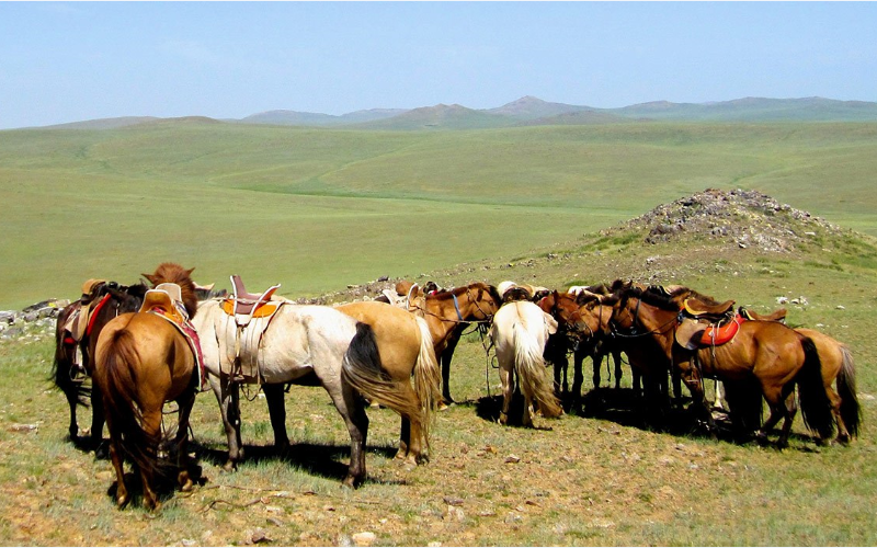 Почему в Монголии небольшое население