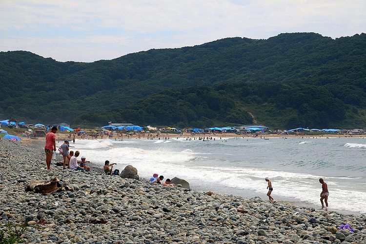 Владивосток: «Китайские туристы умудряются забрать всё, и даже морских звезд»