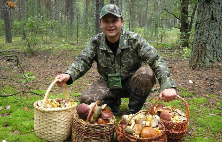 За сбор редких видов грибов россиян заставят платить штрафы до 100 тысяч рублей